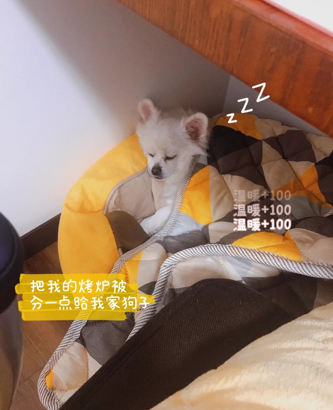 微信图片_20210107114536.jpg