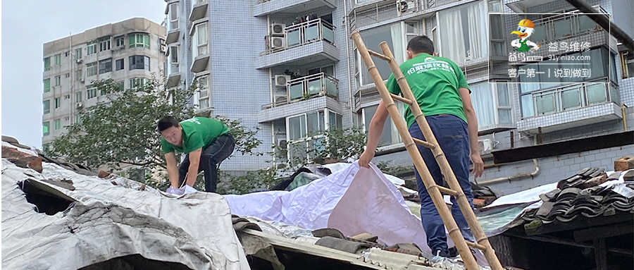 益鸟公益丨太古里旁边的老破小屋顶维修 看完想哭o(╥﹏╥)o